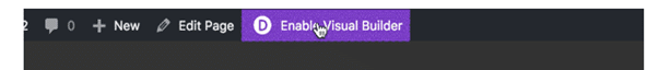 Divi Visual Editor